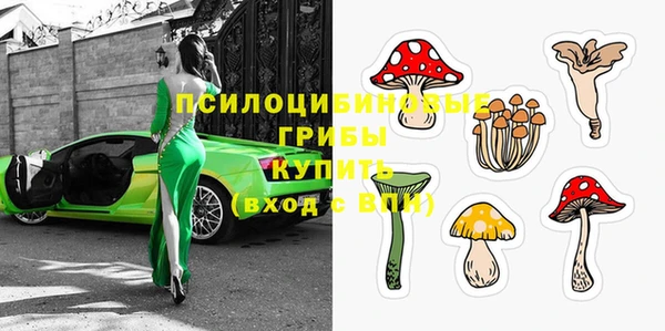 2c-b Осинники